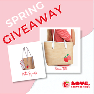 Free Kate Spade Tote Bag