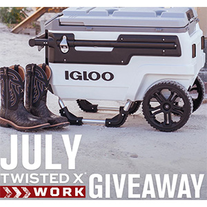 Free IGLOO ECOCOOL Cooler