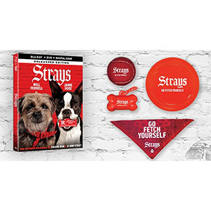 Free Strays Pet Bundle