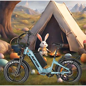 Free Rattan’s E-Bike