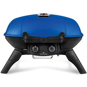 Free Napoleon Portable Grill