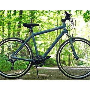 Free Vitesse E-bike