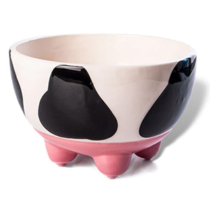 Free Ben & Jerry’s Bowl