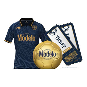 Free Modelo Soccer Ball