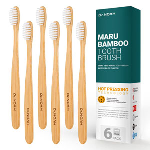 Free Bamboo Toothbrush