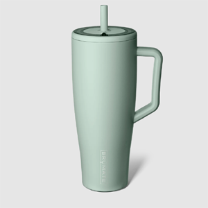 Free Brumate Era Tumbler
