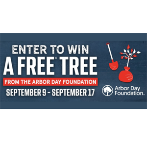 Win a Free Tree