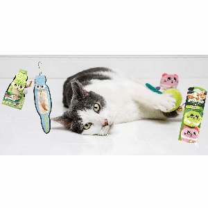 Free Cattraction Cat Toys