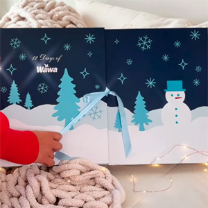 Free Wawa Advent Calendar