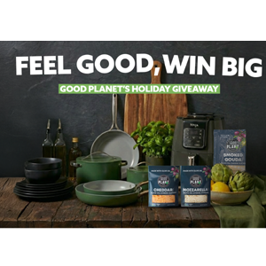 Free Kanto Stoneware Dinnerware Set