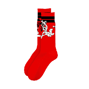 Free Looney Tunes Socks
