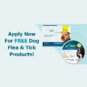 Free Dog Flea & Tick Collars