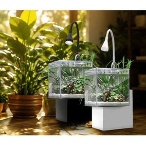 Free Fluval Kühl Microscaping Kits