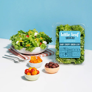 Free Little Leaf Farms Lettuce