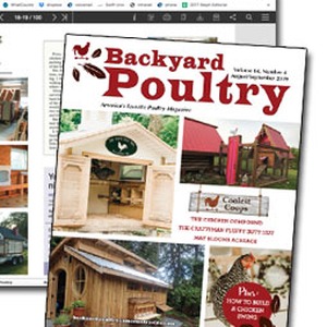 Free Backyard Poultry Magazine