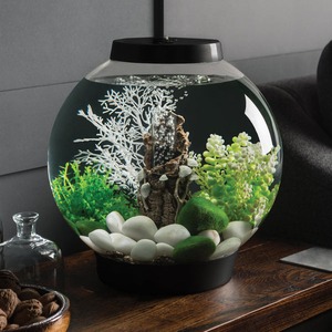 biOrb CLASSIC 15 aquarium with Fairy Tale decor set
