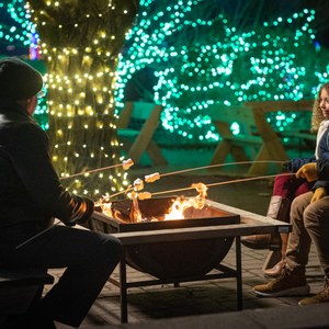 Visitors by a fire pit under the Shady Brook Farm holiday lights in Bucks County