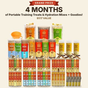 Doggo Sessions training treats and Dogua hydration mix tubes and barrels