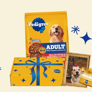 PEDIGREE Adult dog food bag with the PEDIGREE Pawliday Gift Box and a holiday dog portrait